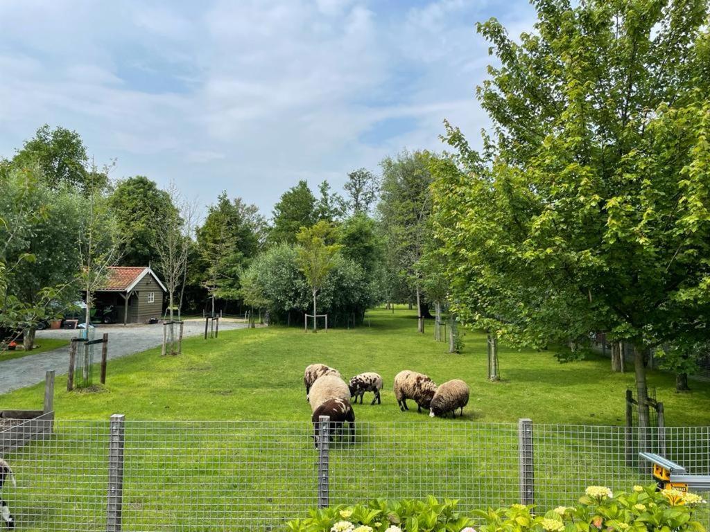Flora'S B&B Landsmeer Екстер'єр фото