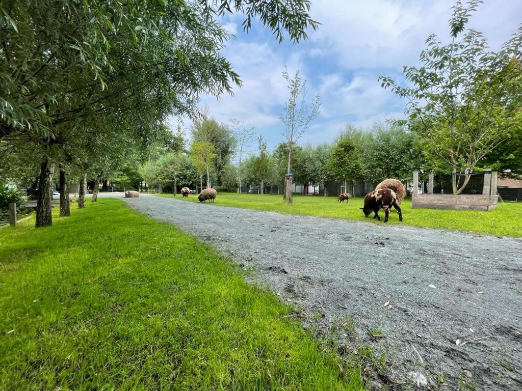 Flora'S B&B Landsmeer Екстер'єр фото